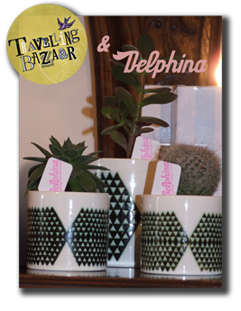 TB Spotlight for the delphina website PNG for the website online.png
